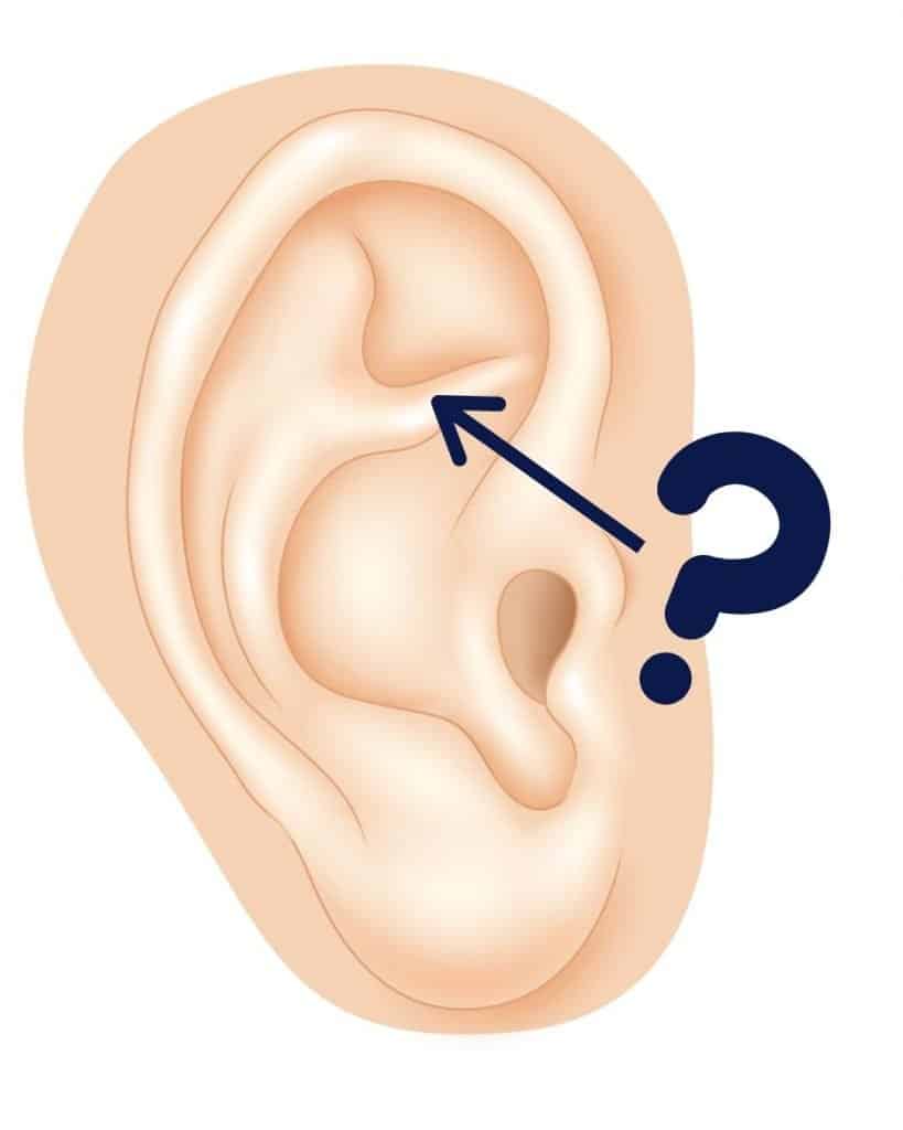 TEST-07-RAMA INFERIOR ANTEHELIX