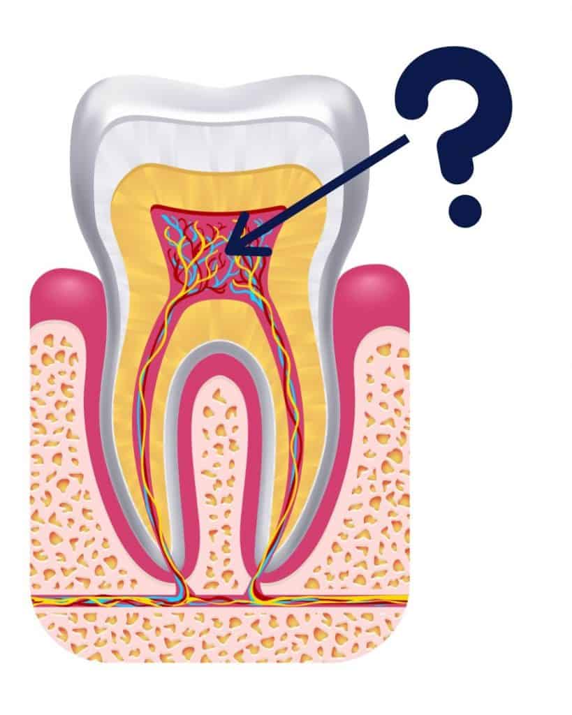 TEST-07-PULPA DENTARIA