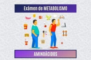 Paradigmia_Test_Metabolismo_Aminoacidos