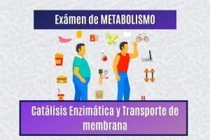 Paradigmia_Test_Metabolismo_catalisis_y_transporte