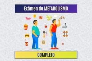 Paradigmia_Test_Metabolismo_Completo