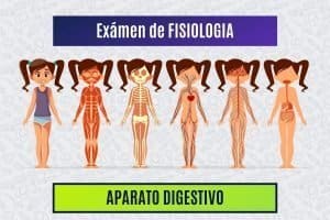 Paradigmia_Test_Fisiologia_Digestivo