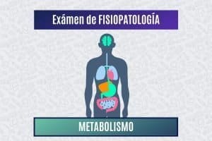 Paradigmia_Test_fisiopatologia_metabolismo