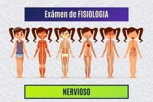 Paradigmia_Test_Fisiologia_Nervioso