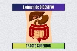 Paradigmia_Test_digestivo_superior