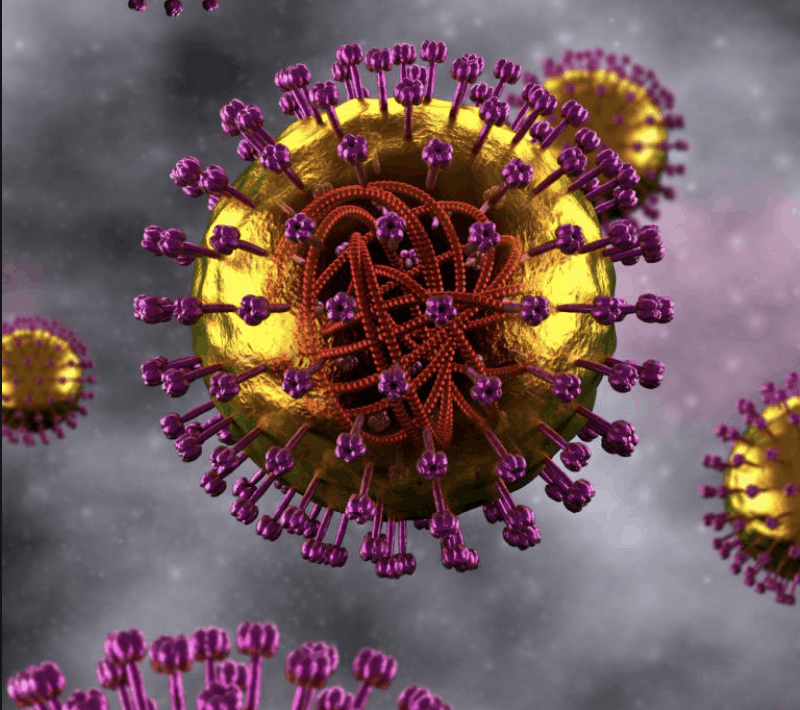 virus rubeola